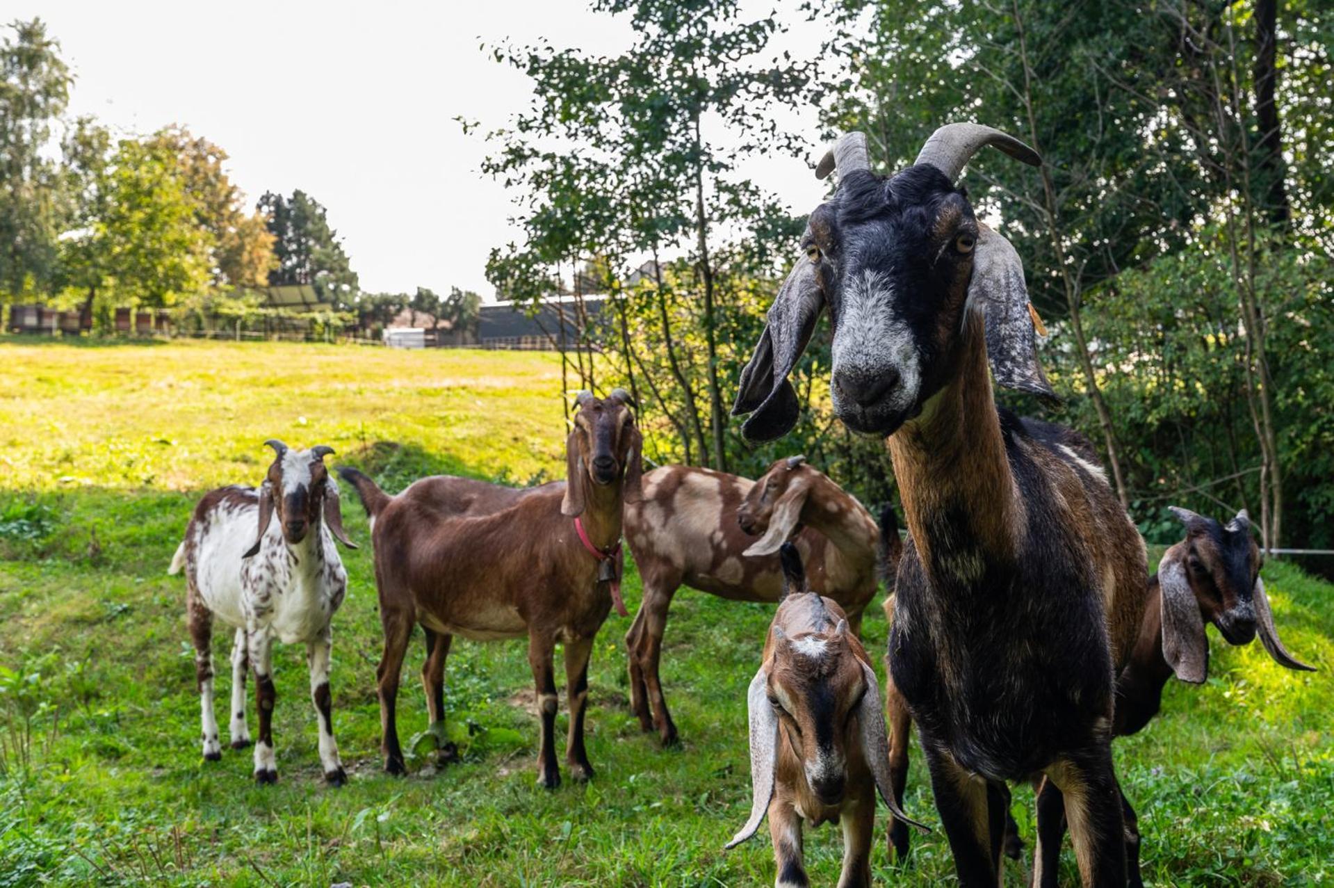 Orzechowa Ostoja Noclegi Energylandia Bachowice ภายนอก รูปภาพ